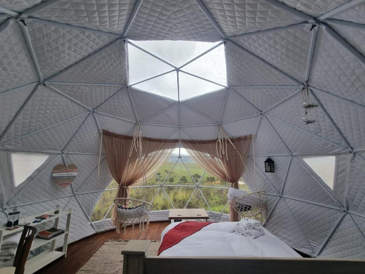 Pom Gratz - Ecodomes Hartebeesrivier Exterior foto